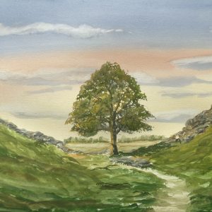 Painting of Sycamore Gap by Colin McQueen. A lone tree with rising grassy slopes either side.