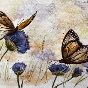 0176 - No. 1 – Monarch Butterflies on Scabious