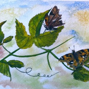 0177 - No. 2 – Comma Butterflies on Hops