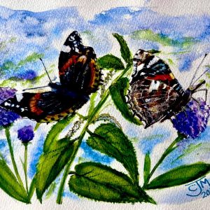 0178 - No. 3 – Red Admiral Butterflies on Nettles