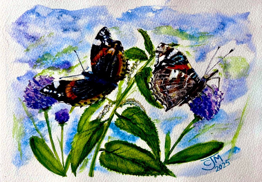 0178 - No. 3 – Red Admiral Butterflies on Nettles