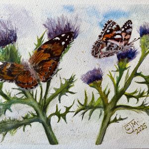 0179 - No. 4 – Painted Lady Butterflies on Thistles