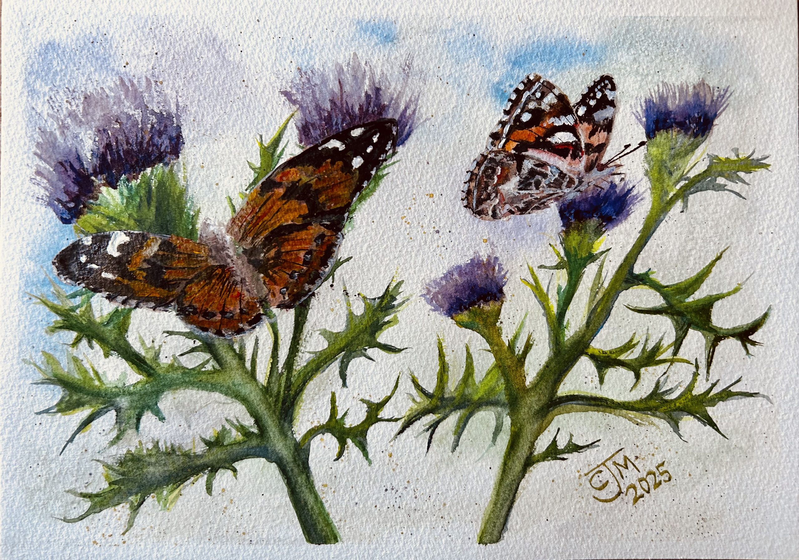 0179 - No. 4 – Painted Lady Butterflies on Thistles