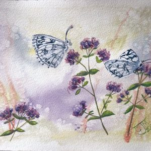 0182 - No. 6 – Marbled White Butterflies on Marjoram